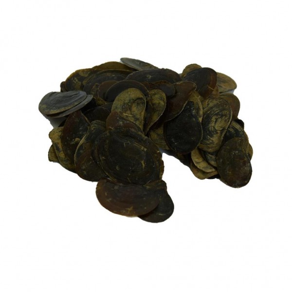 Saf Doğal Cin Tırnağı Bitkisi 100 Gram Mini Paket