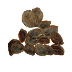 Şeytan Tırnağı Cin Tırnağı Şeytan Pençesi Bitkisi 1000GR