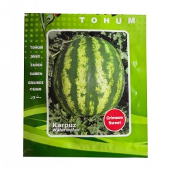 Crimson Sweet Karpuz Tohumu 10 Gram