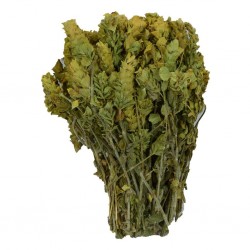 Doğal Dağ Ada Çayı Akdeniz Yöresi Sap Demet Adaçayı 100GR