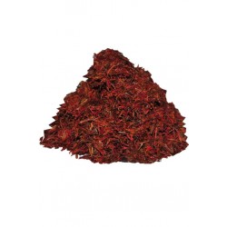 Doğal Aspir Otu Çiçeği Asfor Yalancı Safran Otu Bitki 100 Gram