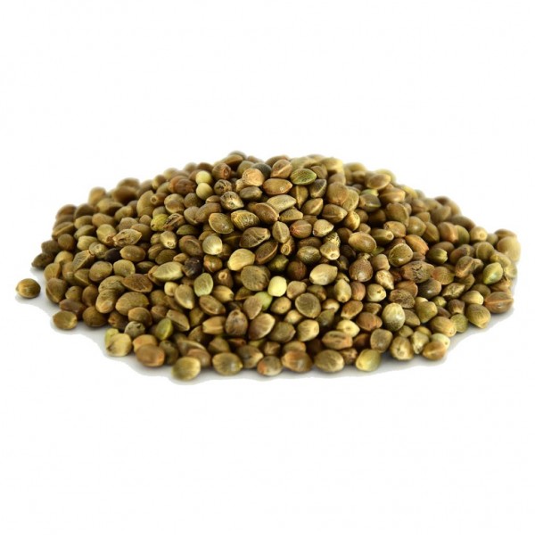 Doğal Tane Kenevir Tohumu 1.Kalite Kendir Tohum Tane 100GR