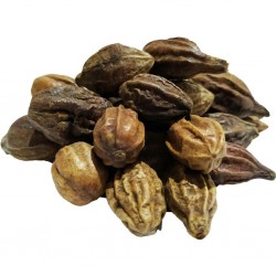 Doğal Sarı Halile Çekirdeği Sarı Helile Çekirdek Sarıhalile 100GR