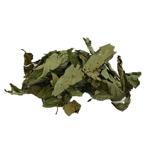 Doğal Üvez Yaprağı Kurutulmuş Tane Kuru Yaprak Üvez 100GR Paket