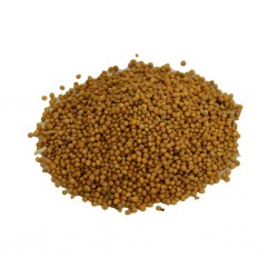 Doğal Sarı Hardal Tohumu Tane Saf Sarı Hardal Tohum 100GR 