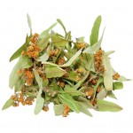 PAKET BİTKİLER - Ihlamur Çiçeği 30 Gr Pkt Ihlamur Çiçeği 30 Gr Pkt
