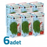 Matcha Premium Japanese Maça Çayı Çilekli Orijinal Bandrollu 20Ad X 6Kutu