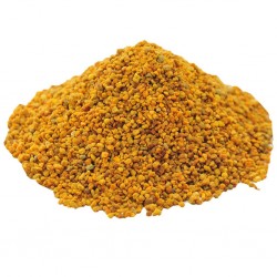 Polen 100 Gr Pkt