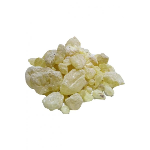 Saf Doğal Sandaloz Sakızı Tane Sandoloz Sandaroz Sandoroz 100 Gram