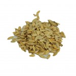 Doğal Salatalık Tohumu Saf Salata Tohumu 100GR Mini Paket