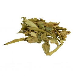 Doğal Saf Turunç Yaprağı Tane Yaprak Turunç 100Gr